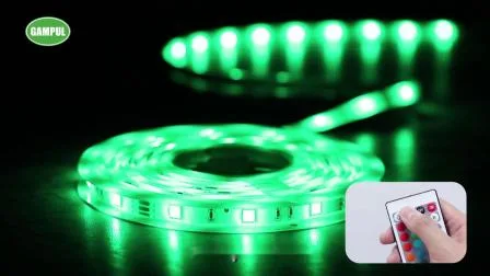 220V 110V RGB Faixa de LED 5050 5m Multicolor Flexível Rolo Ao Ar Livre À Prova D' Água RGB Corda de Cor Dupla Faixa de Luz LED
